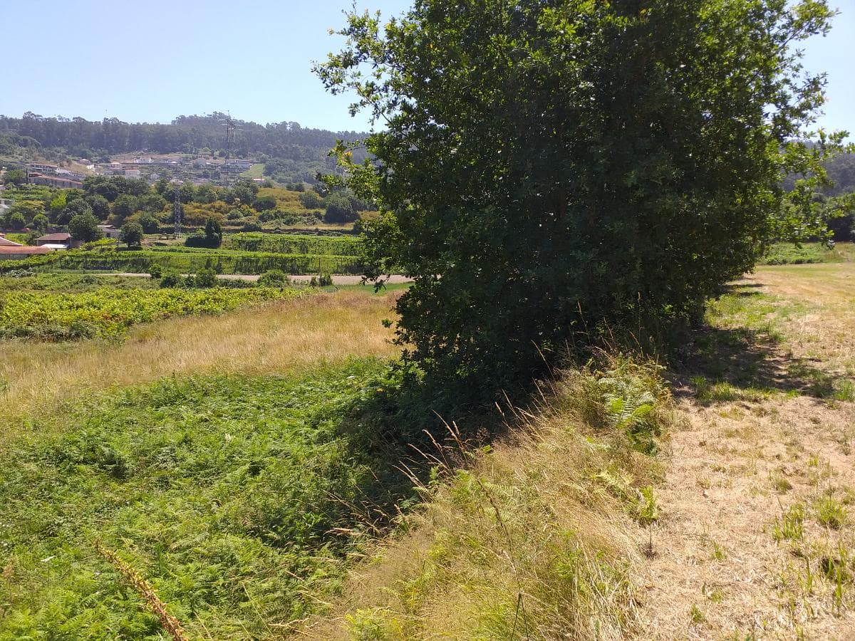 1/8 de Terrenos · Santo Tirso — image 3