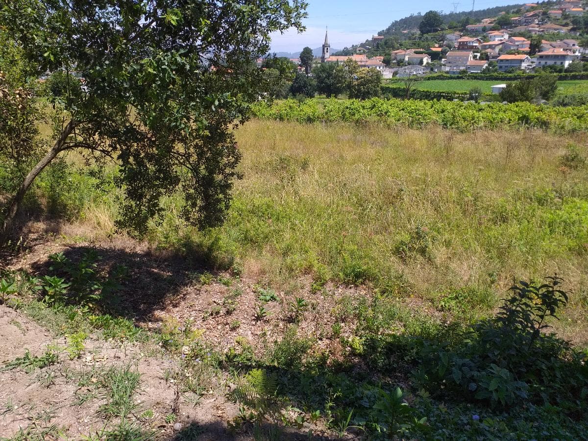 1/8 de Terrenos · Santo Tirso — image 6