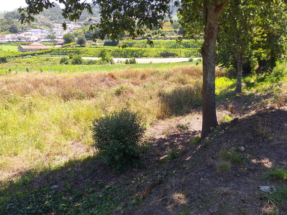 1/8 de Terrenos · Santo Tirso — image 8