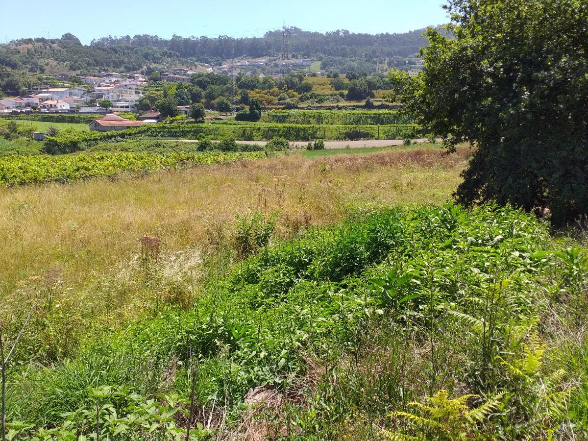 1/8 de Terrenos · Santo Tirso — image 9