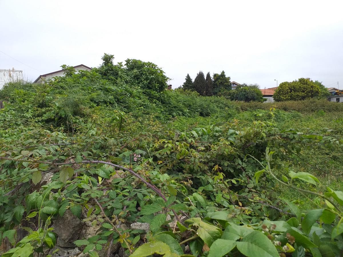 Terreno · Madalena, Vila Nova de Gaia — imagem 5