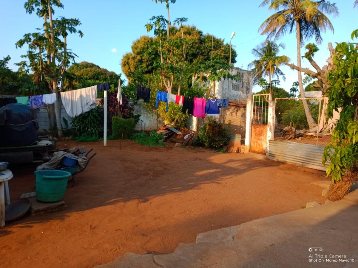 Moradia T2 em terreno de 5387m2 · — imagen 10
