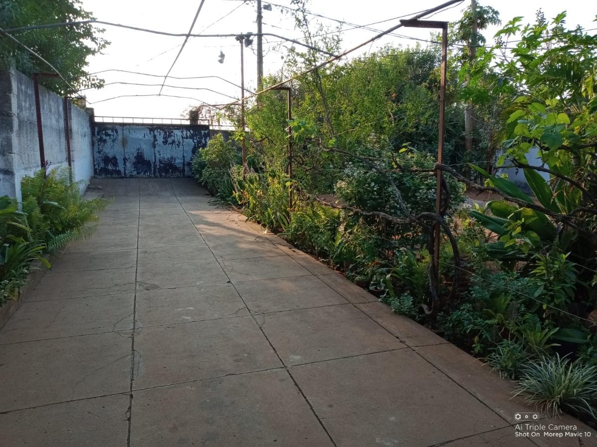 Moradia T2 em terreno de 5387m2 · — imagen 12