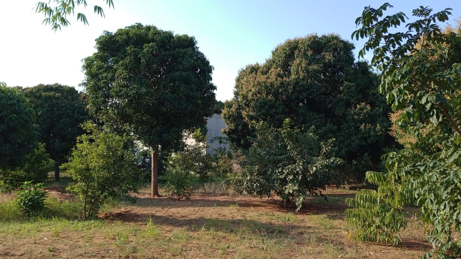 Moradia T2 em terreno de 5387m2 · — imagen 4