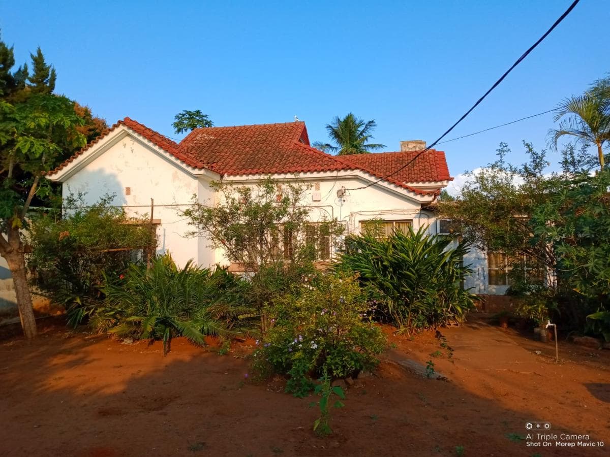 Moradia T2 em terreno de 5387m2 · — imagen 13