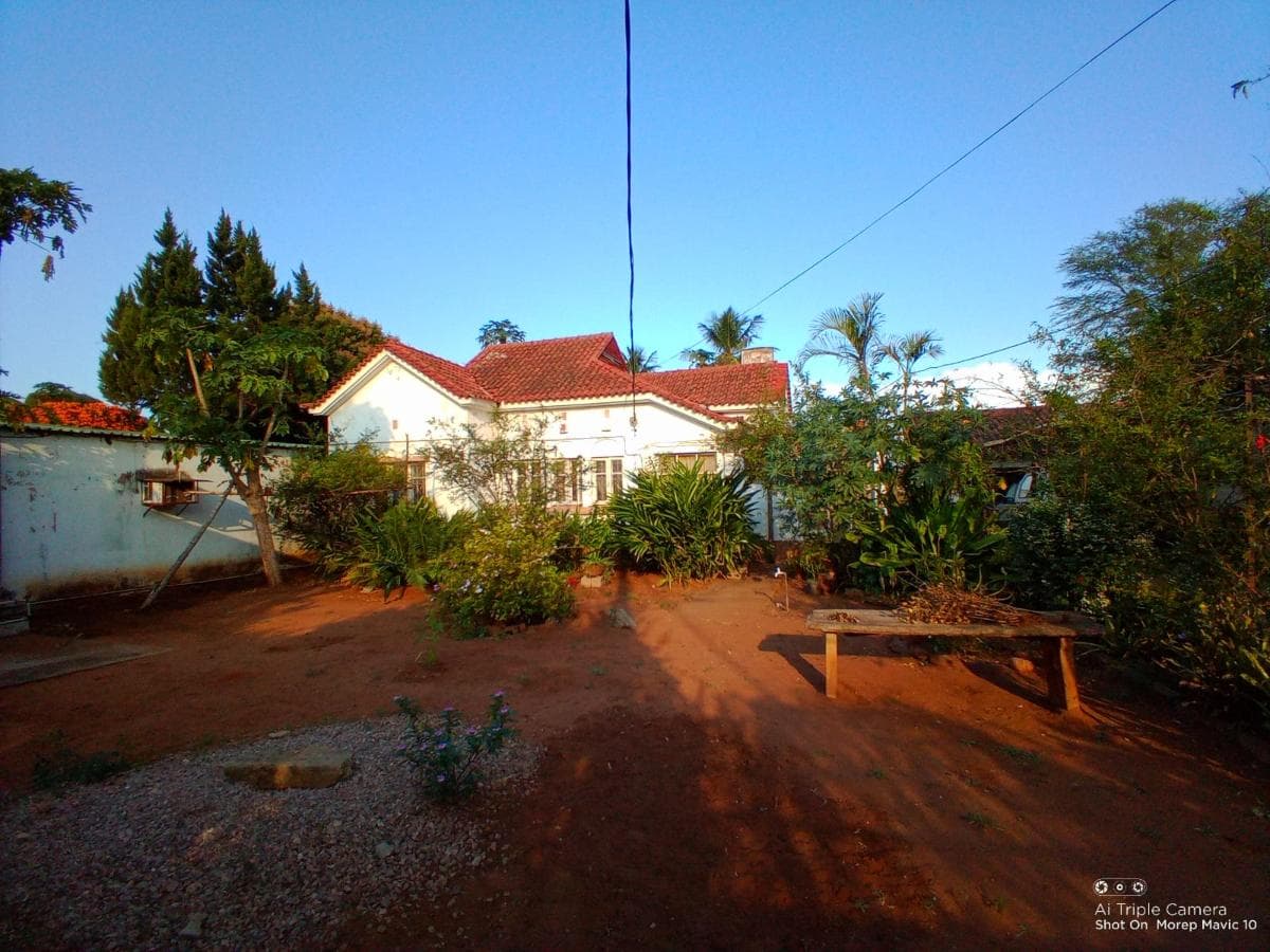Moradia T2 em terreno de 5387m2 · — imagen 15