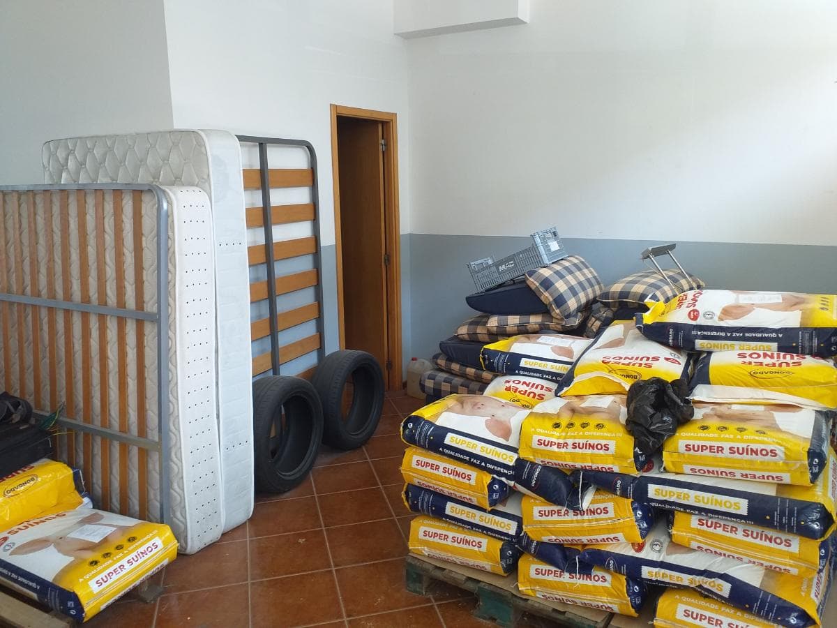 Loja · Nelas — imagem 7