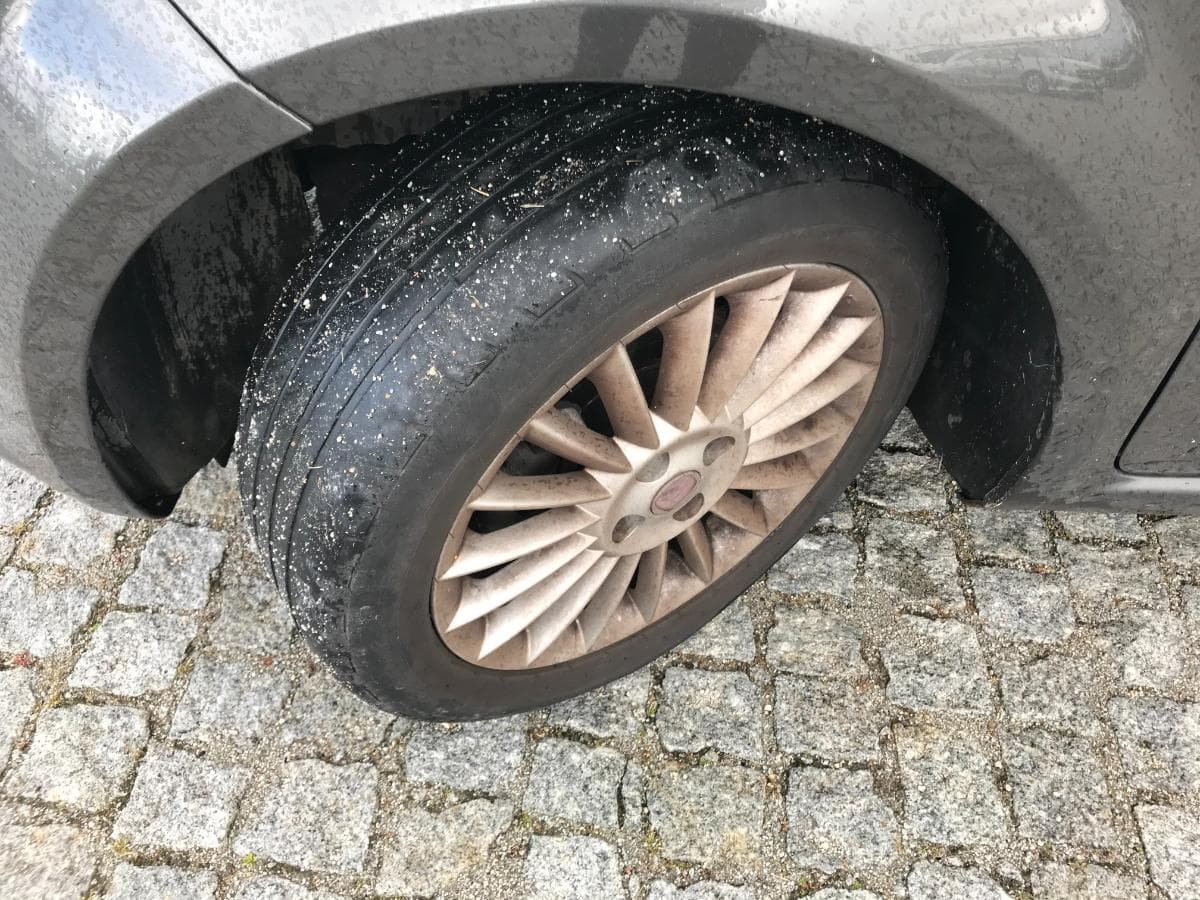 Fiat Linea 1.3 D Multijet · Ano 2008 — image 13