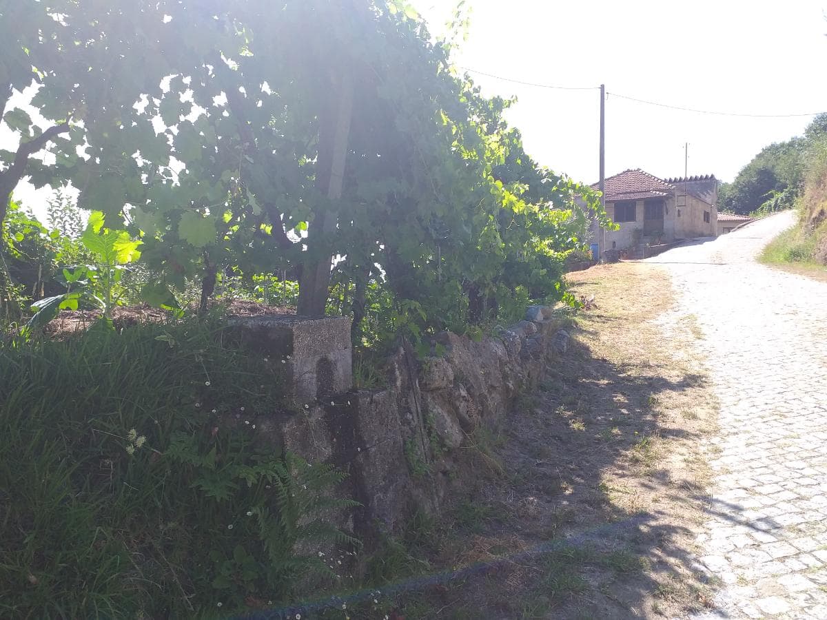 1/2 Usufruto de Terrenos · Marco de Canaveses — imagen 5