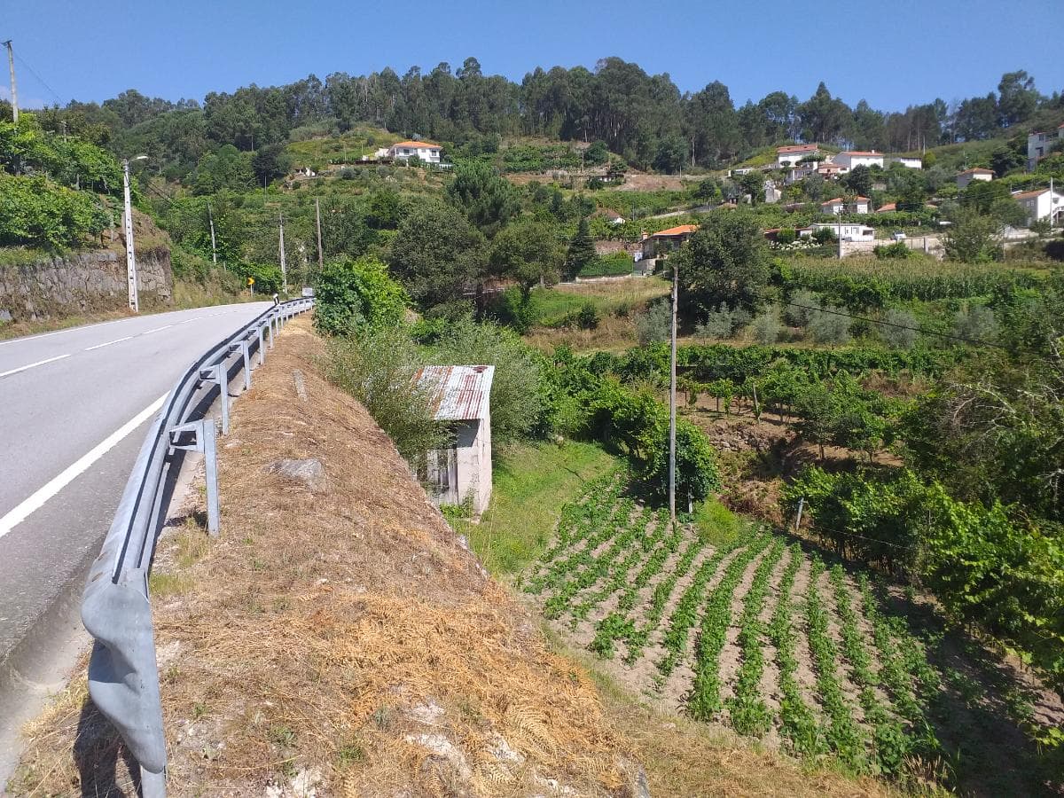 1/2 Usufruto de Terrenos · Marco de Canaveses — imagen 8