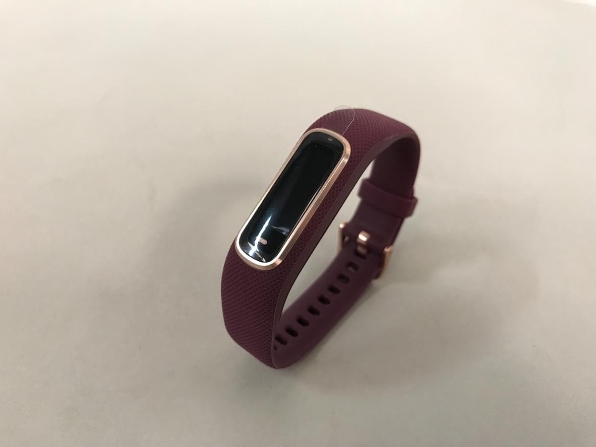Smartwatch Garmin