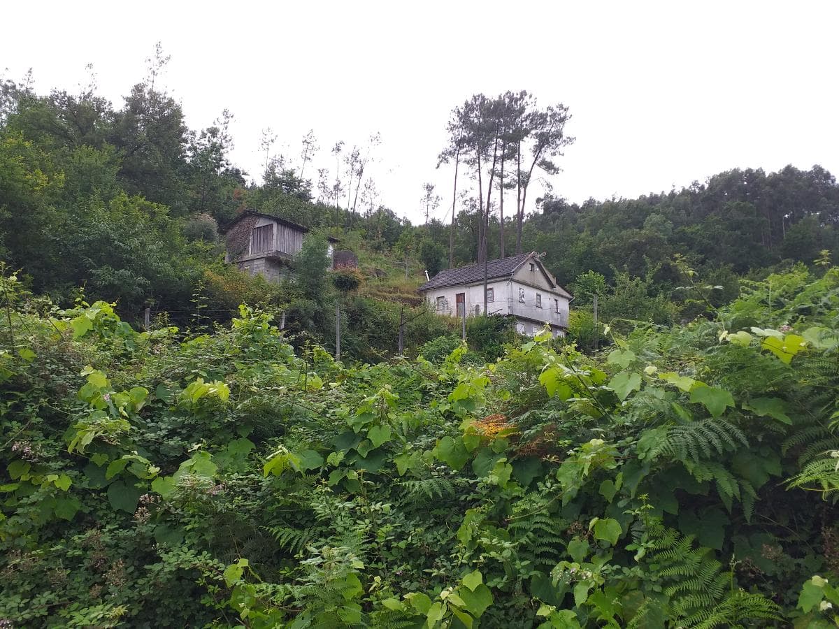 Quinhão Hereditário · Vila Verde, Braga — imagen 6