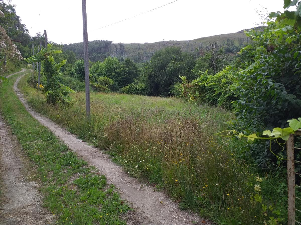 Quinhão Hereditário · Vila Verde, Braga — imagen 10