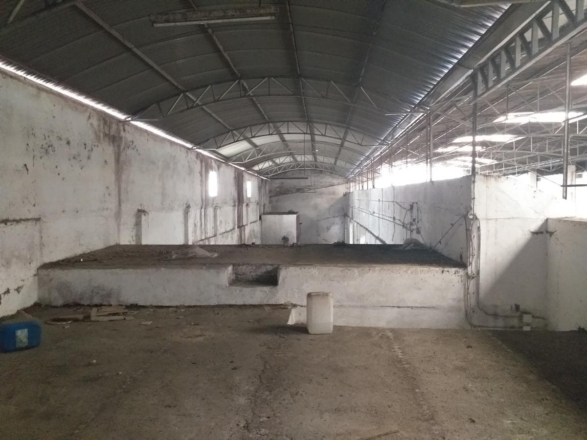 Armazém Industrial · Anadia — imagem 5