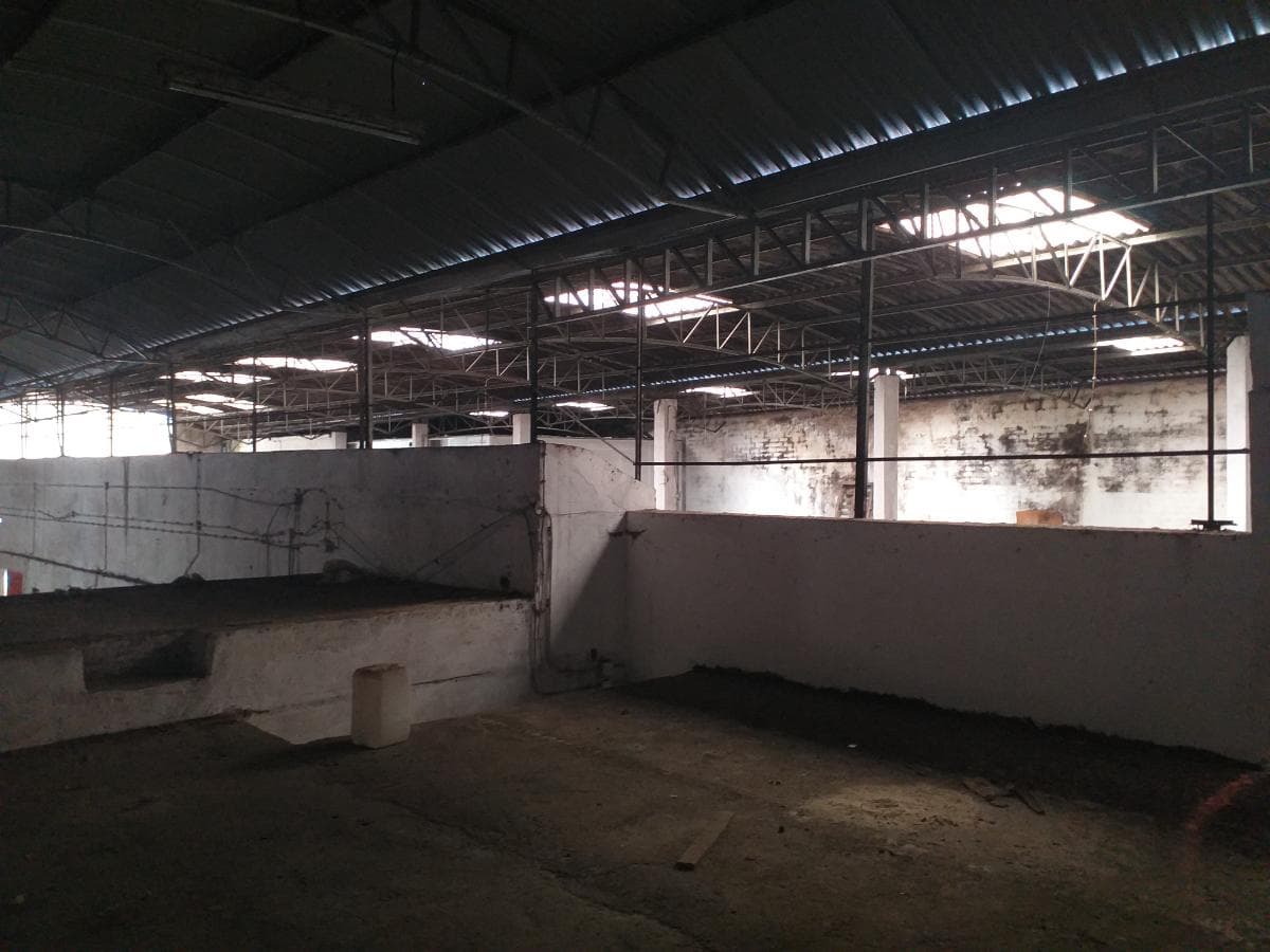 Armazém Industrial · Anadia — imagem 17