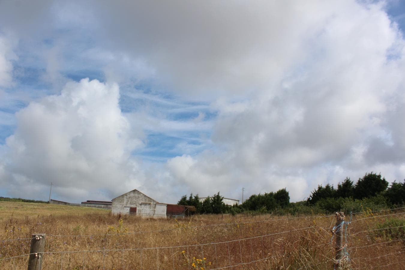 Armazém + Terreno c/ Benfeitorias · Torres Vedras — imagen 13