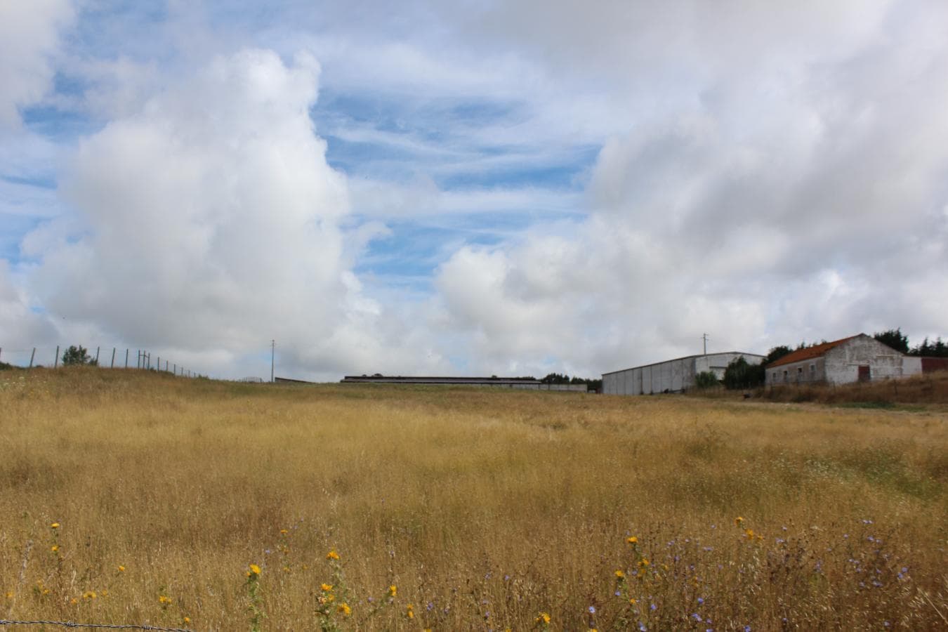 Armazém + Terreno c/ Benfeitorias · Torres Vedras — imagen 9