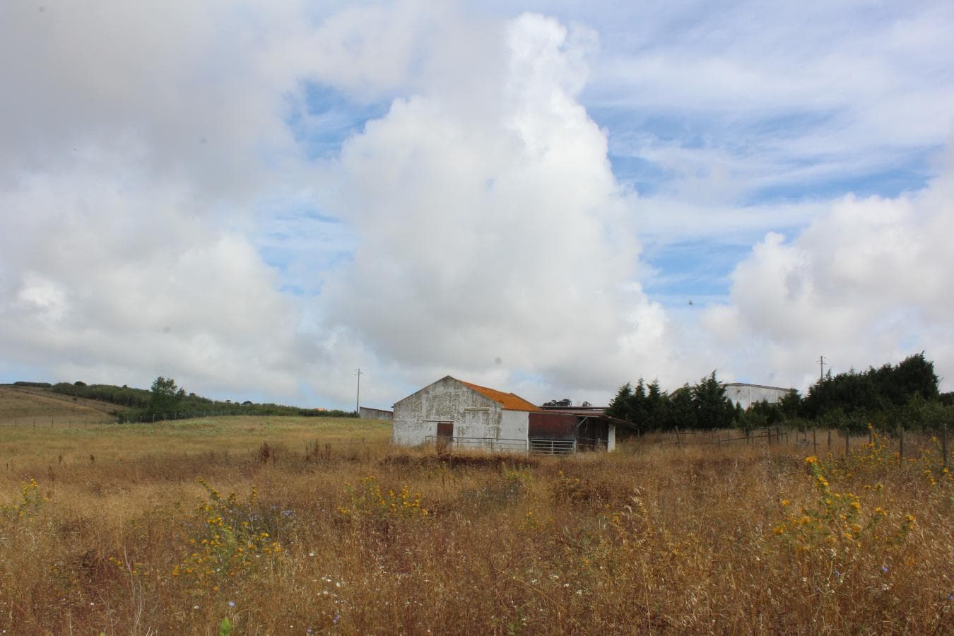Armazém + Terreno c/ Benfeitorias · Torres Vedras — imagen 32