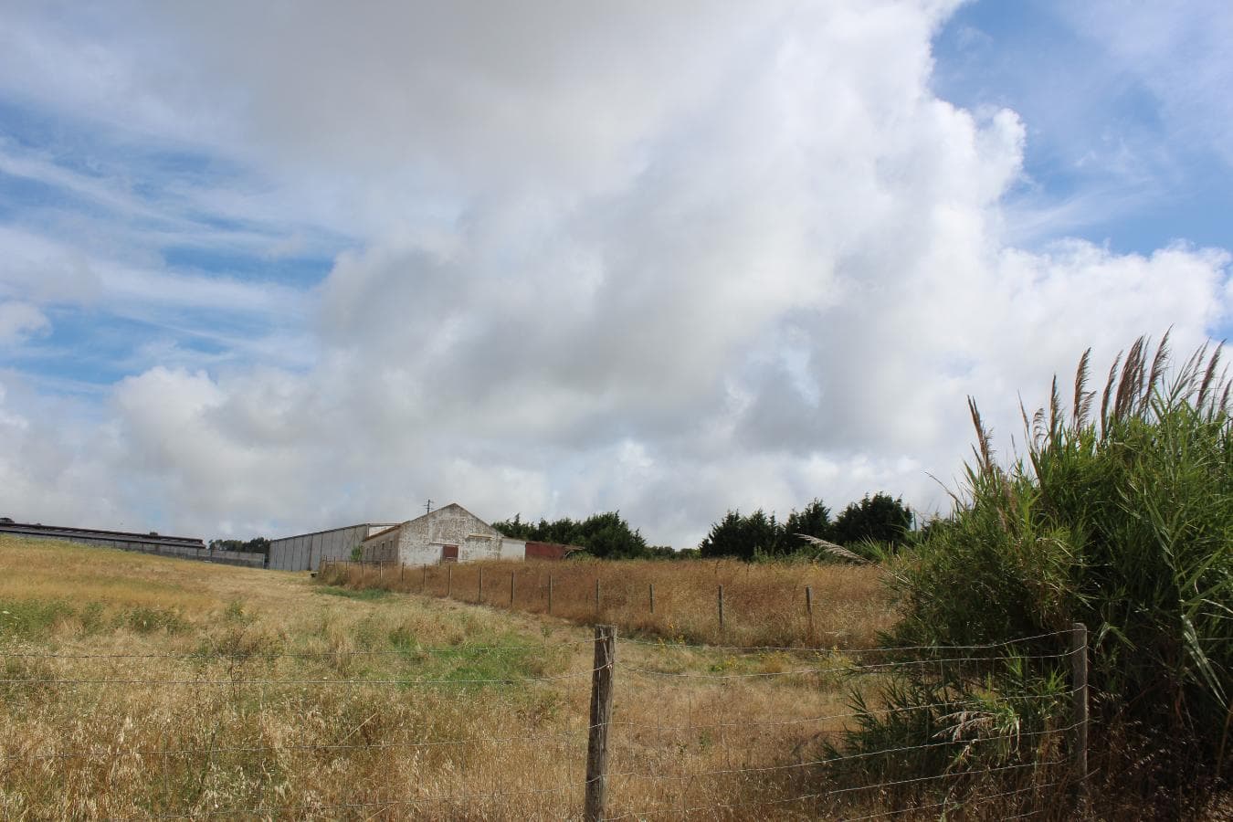 Armazém + Terreno c/ Benfeitorias · Torres Vedras — imagen 30
