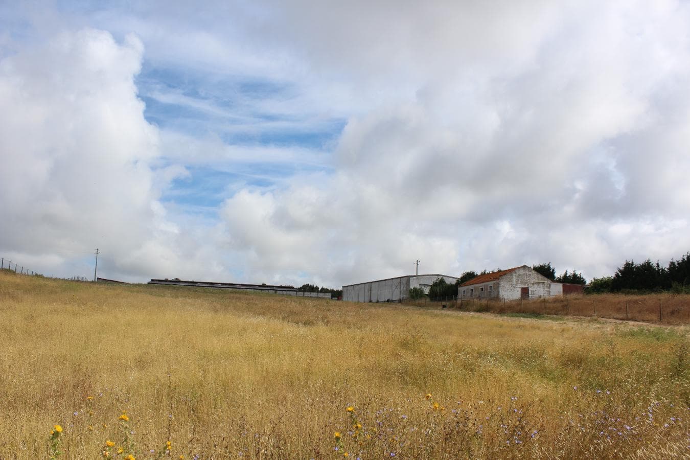 Armazém + Terreno c/ Benfeitorias · Torres Vedras — imagen 36