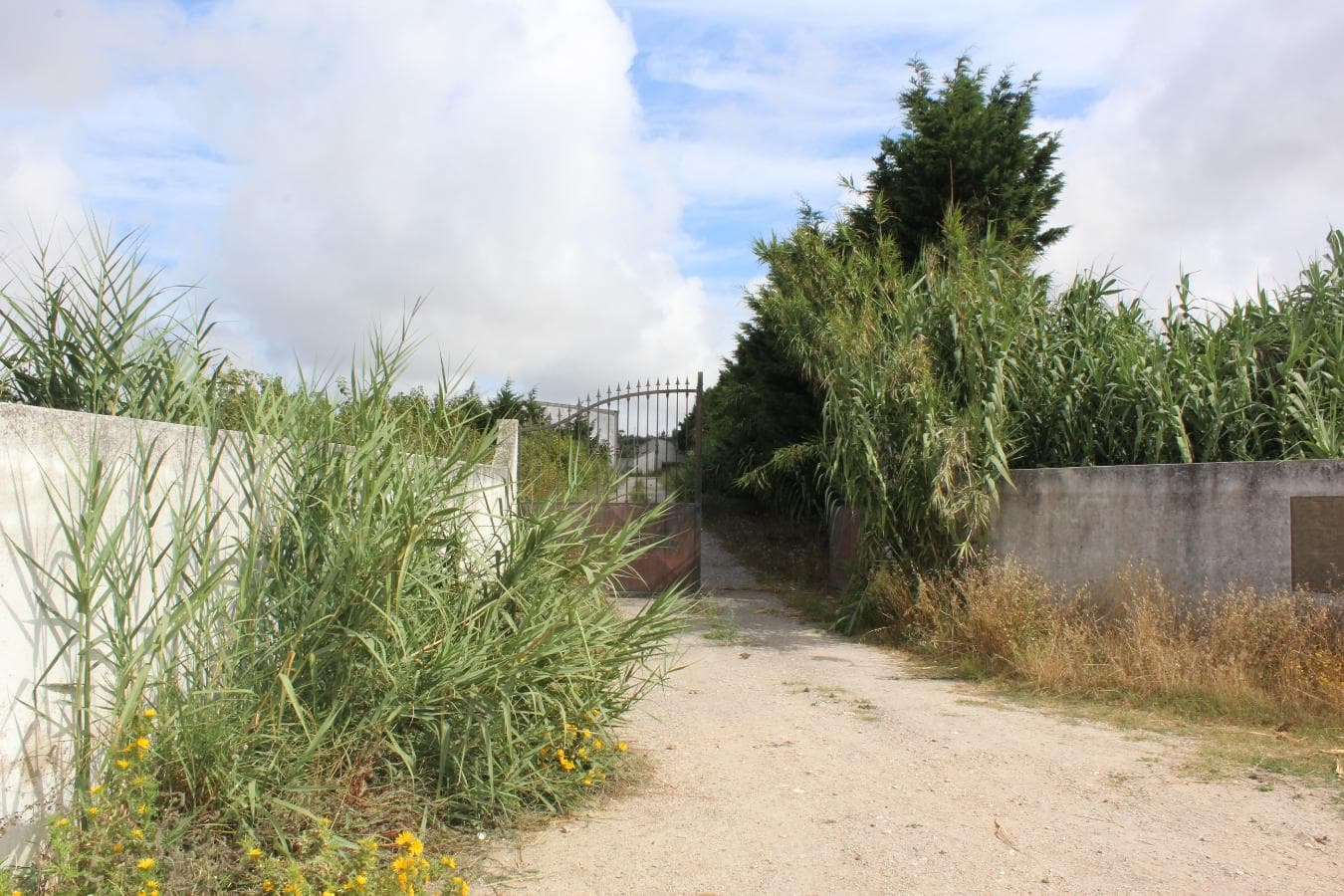 Armazém + Terreno c/ Benfeitorias · Torres Vedras — imagen 38