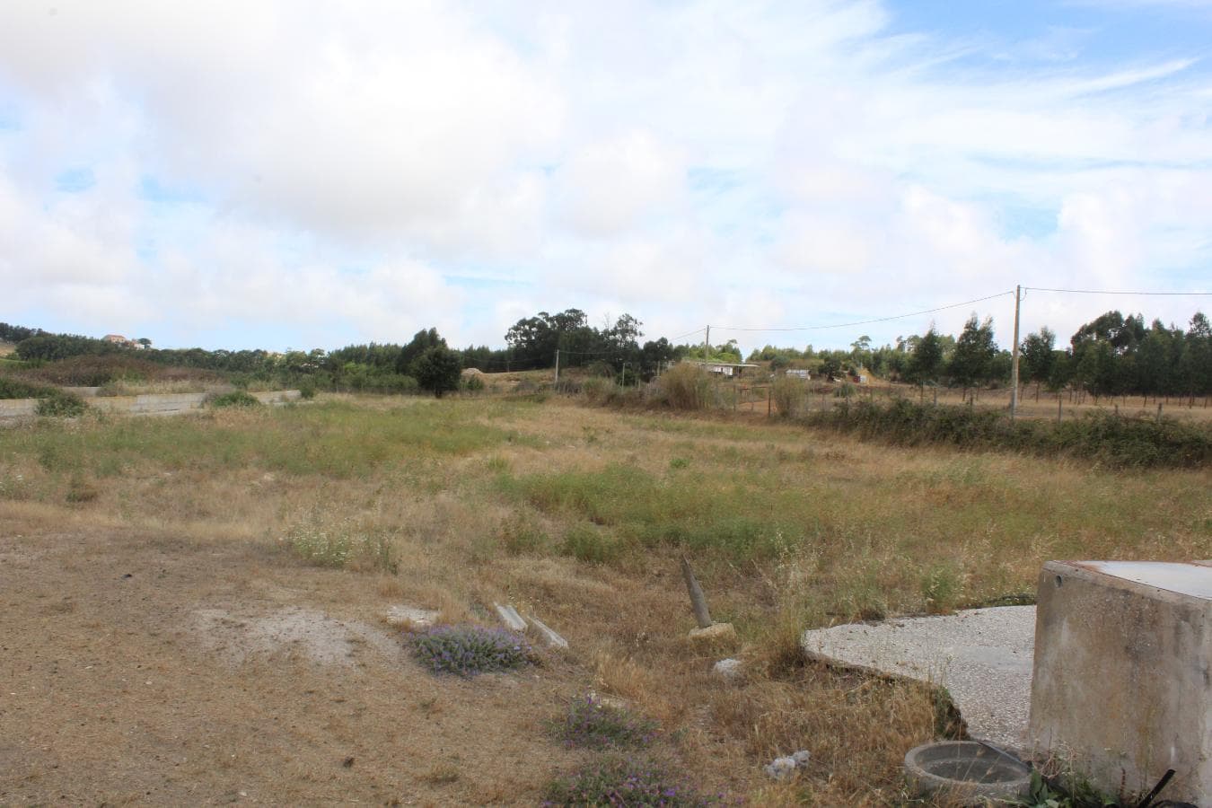 Armazém + Terreno c/ Benfeitorias · Torres Vedras — imagen 21