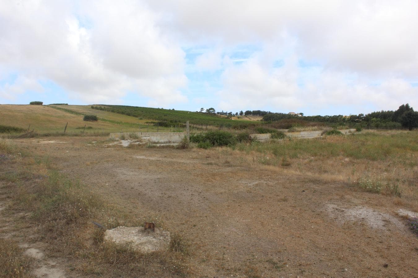 Armazém + Terreno c/ Benfeitorias · Torres Vedras — imagen 17