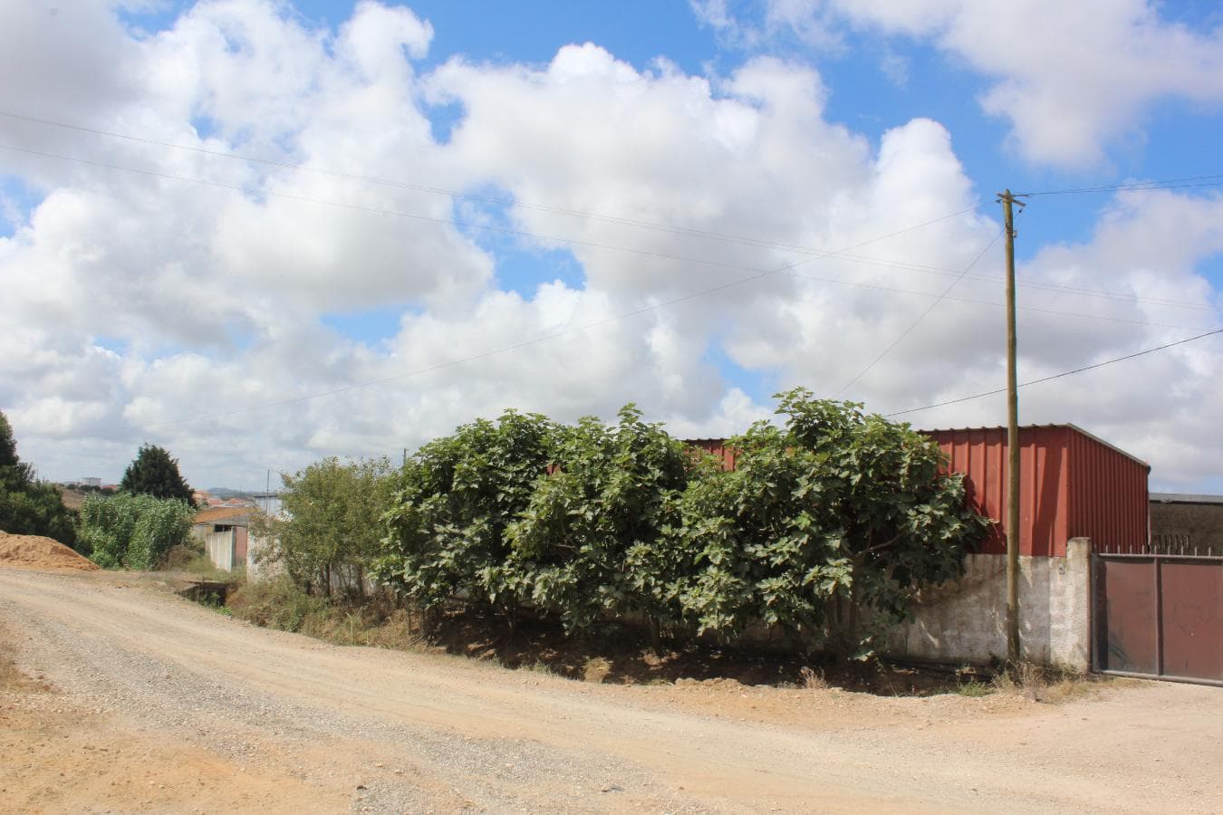 Armazém + Terreno c/ Benfeitorias · Torres Vedras — imagen 26