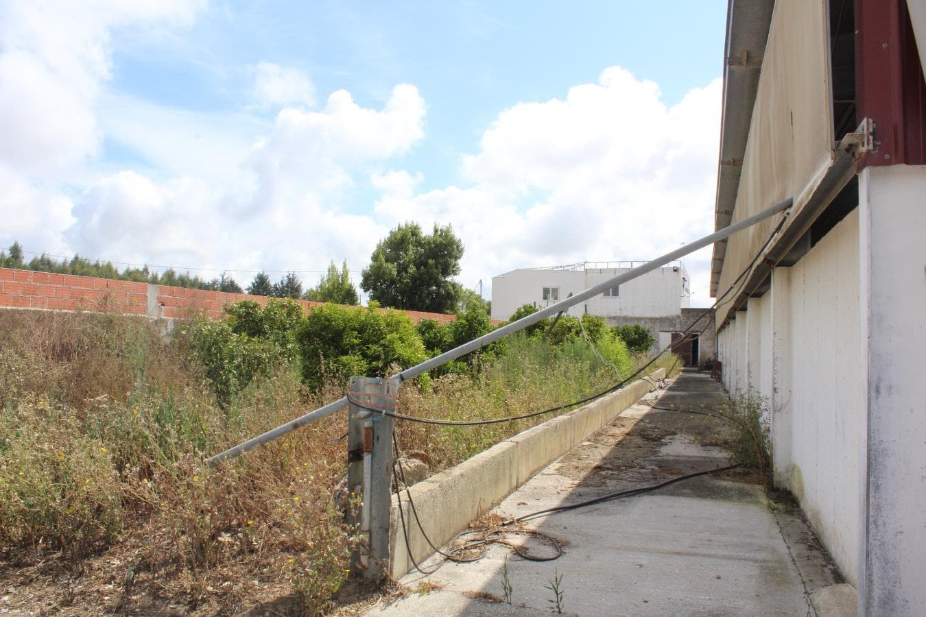 Armazém + Terreno c/ Benfeitorias · Torres Vedras — imagen 25