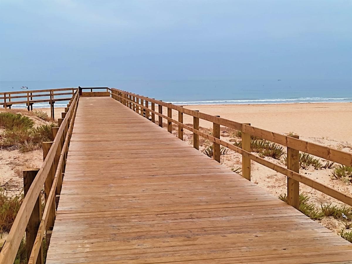 Lote para Construção · Castro Marim — imagem 8