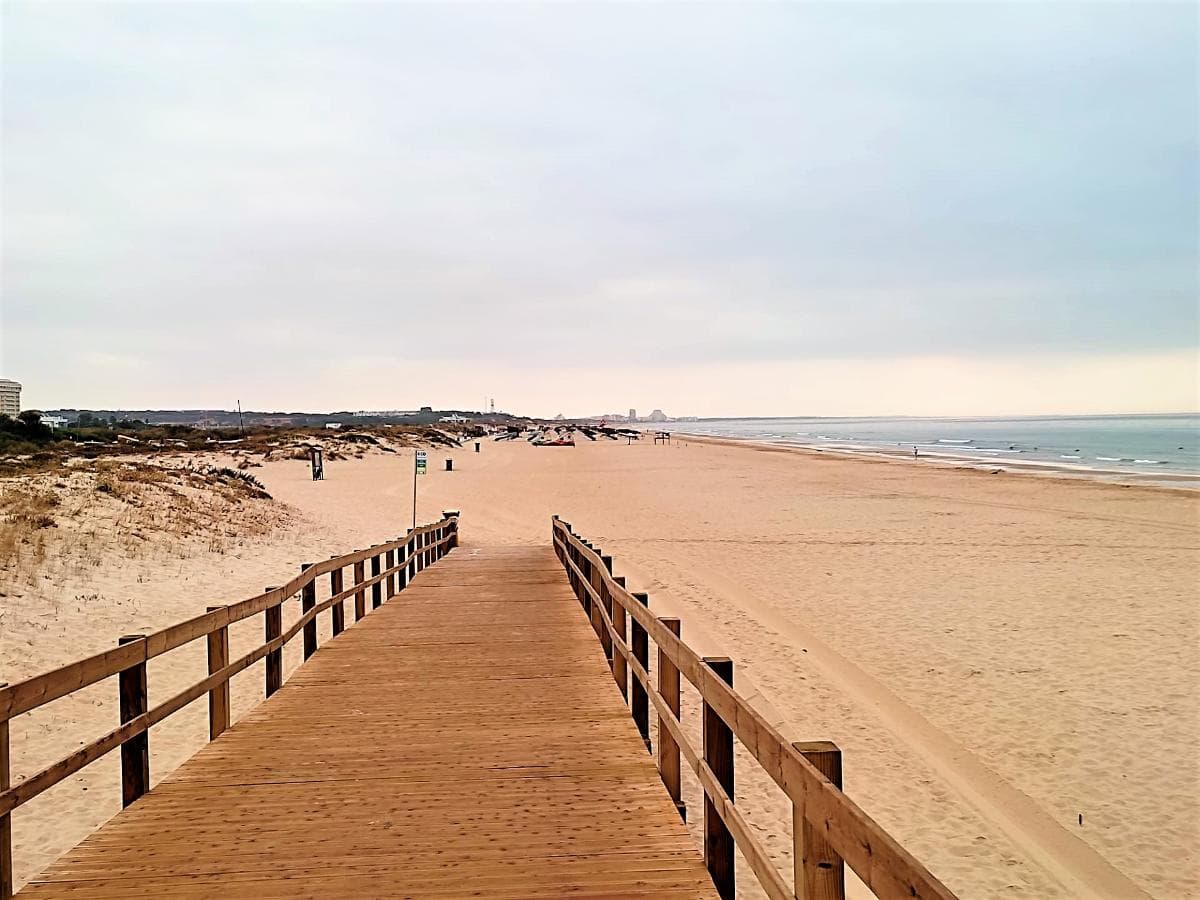 Lote para Construção · Castro Marim — imagem 15