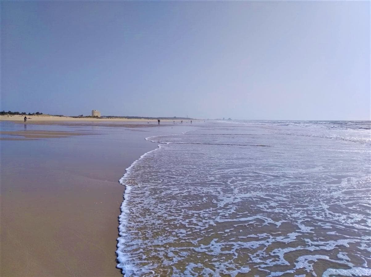 Lote para Construção · Castro Marim — image 17
