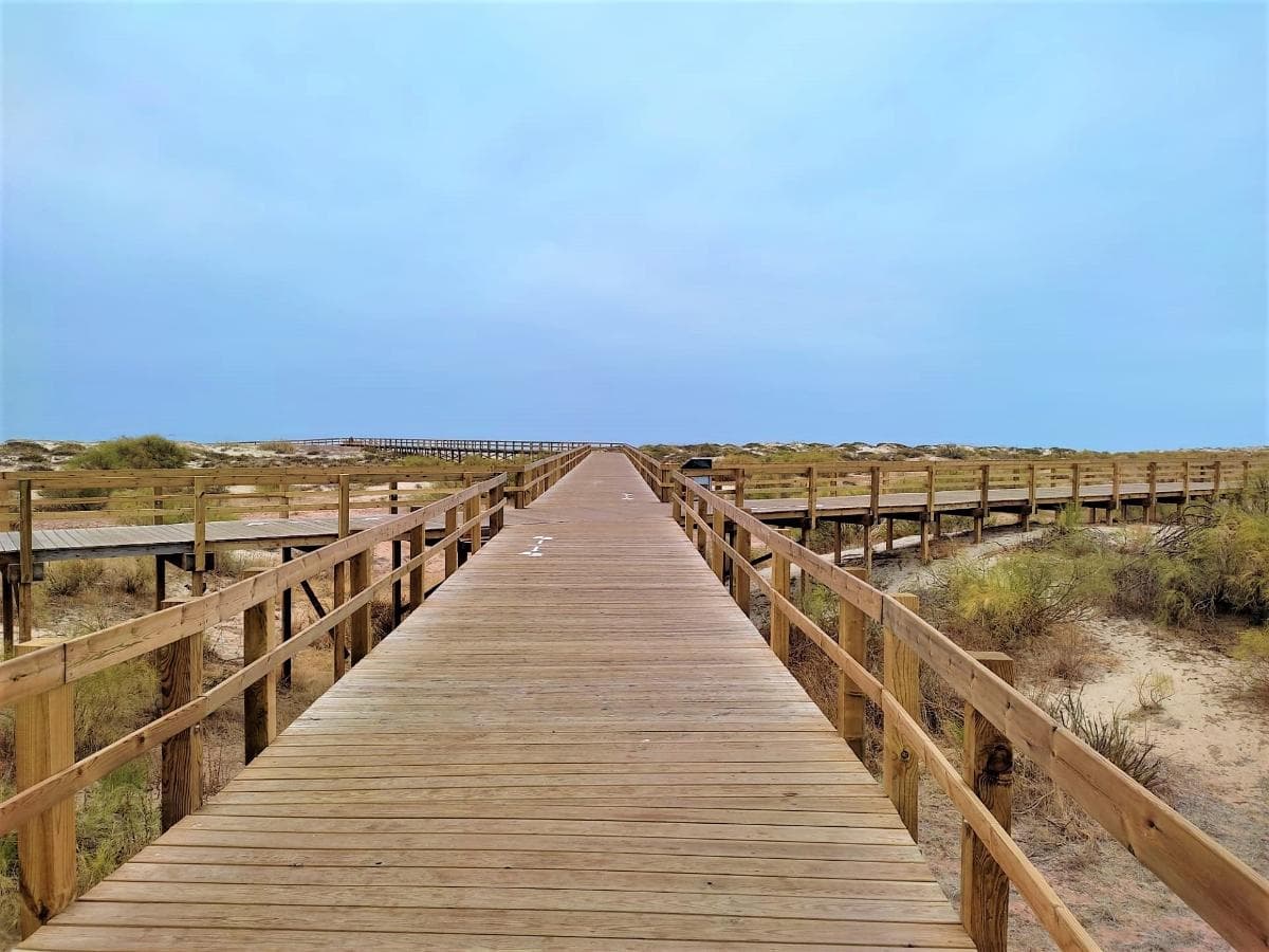 Lote para Construção · Castro Marim — image 19