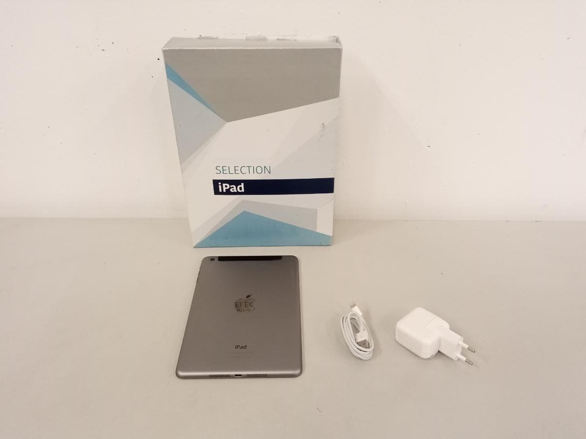iPad Mini