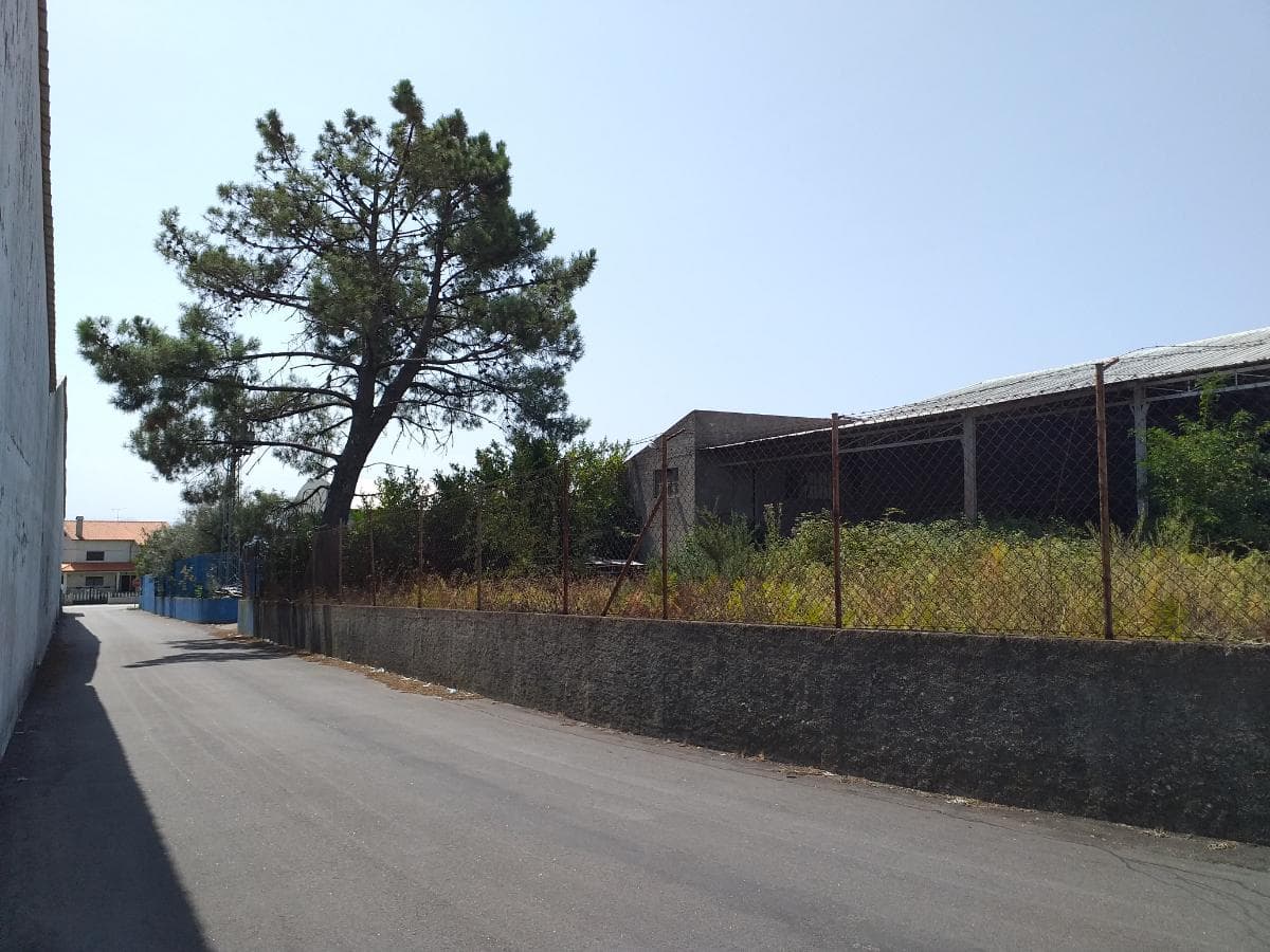 Armazém · Mangualde — image 8