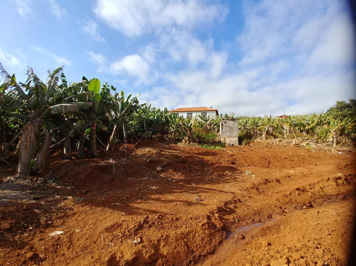 Quinhão Hereditário · Funchal — image 2