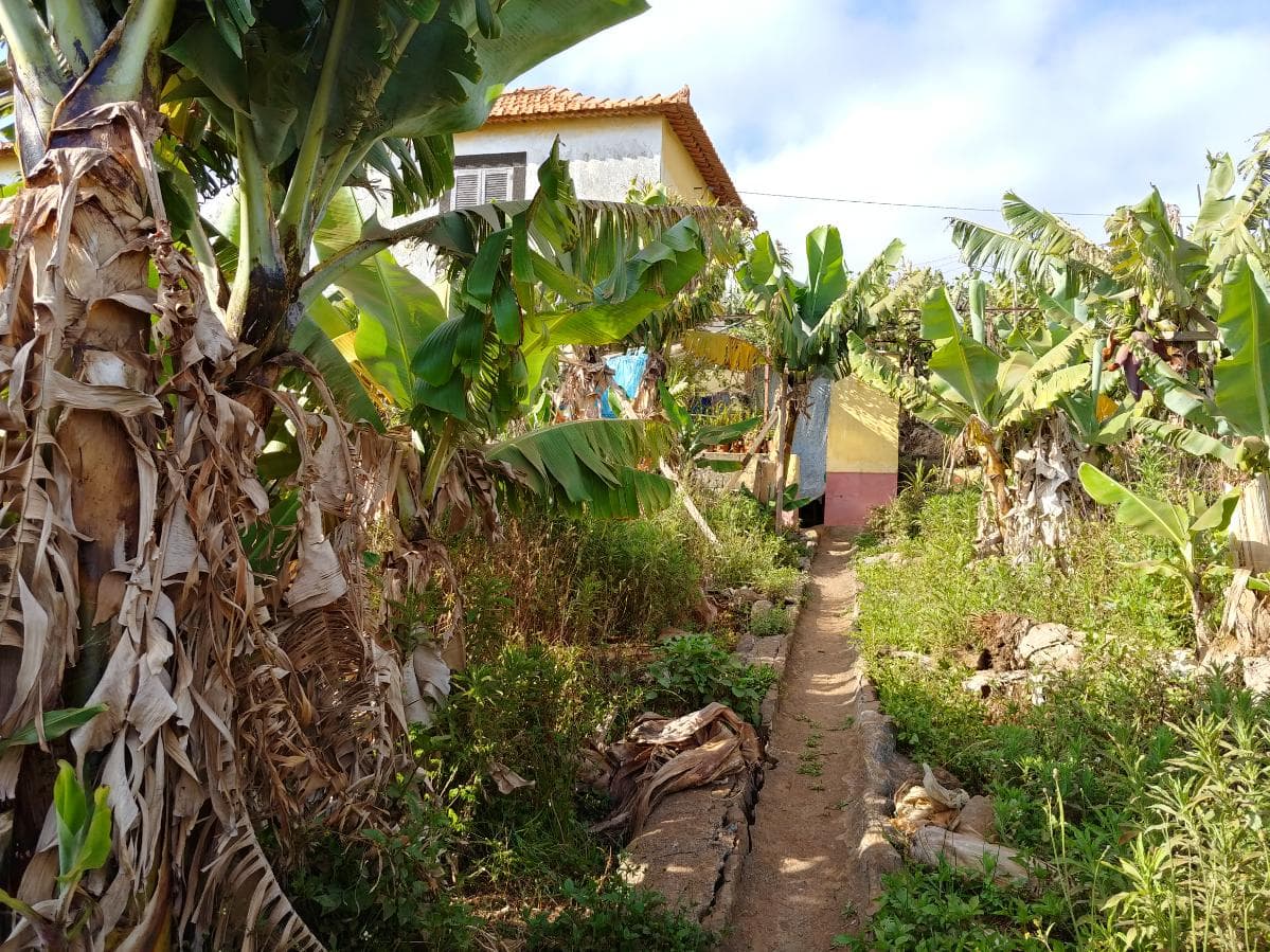 Quinhão Hereditário · Funchal — image 8