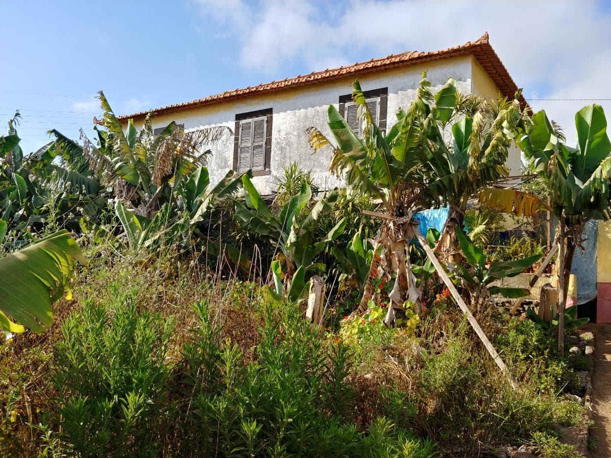 Quinhão Hereditário · Funchal — image 1