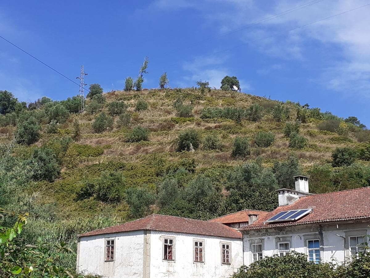 Moradia c/ Terreno de 3 Ha  · Lamego — imagen 1
