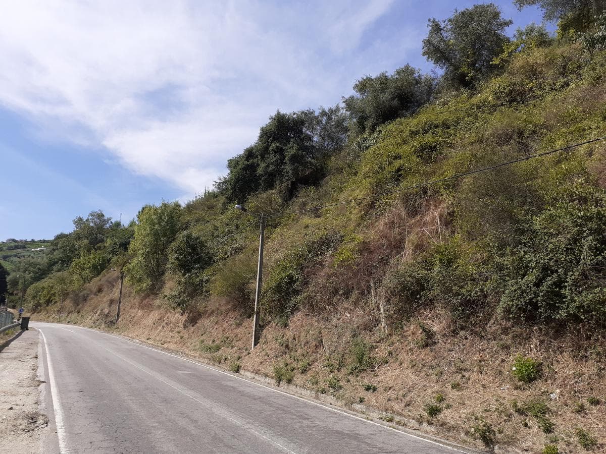 Moradia c/ Terreno de 3 Ha  · Lamego — imagen 3