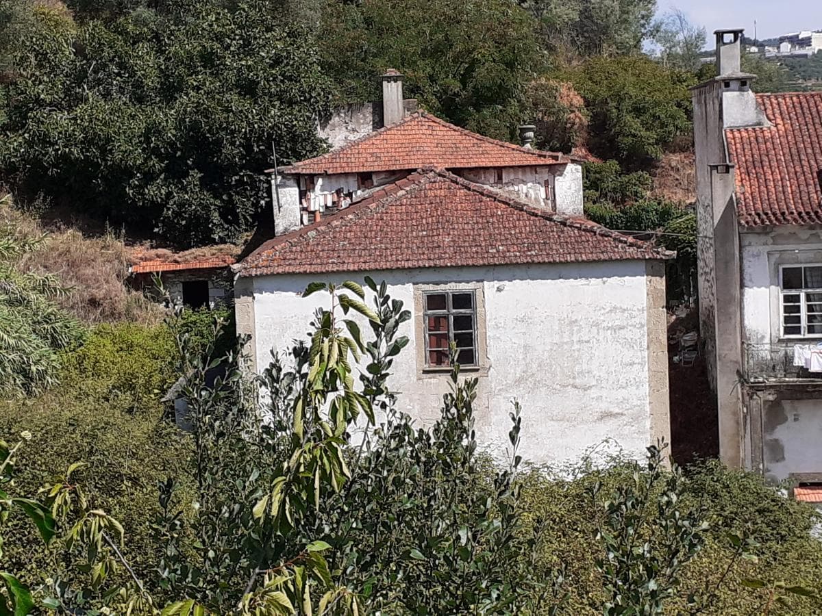 Moradia c/ Terreno de 3 Ha  · Lamego — imagen 6