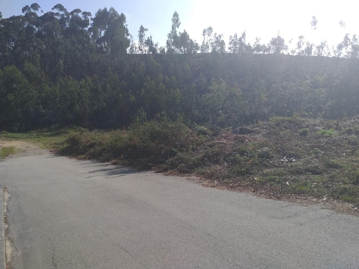 Lote para Construção · Oliveira de Azeméis — image 3