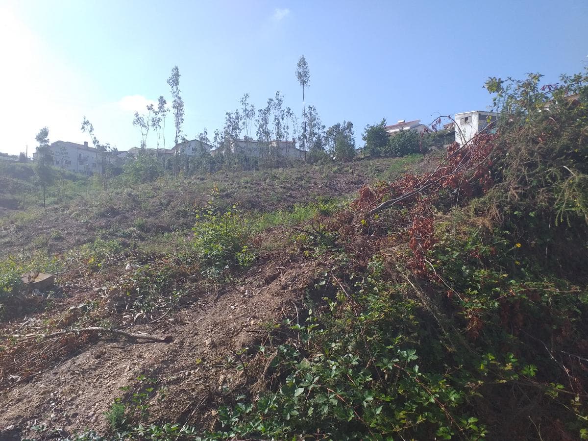 Lote para Construção · Oliveira de Azeméis — image 4