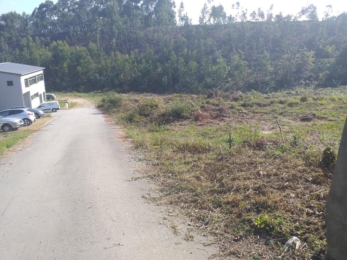 Lote para Construção · Oliveira de Azeméis — image 6