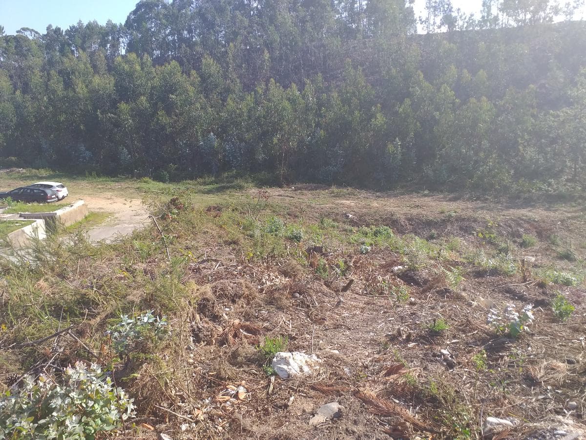 Lote para Construção · Oliveira de Azeméis — image 5