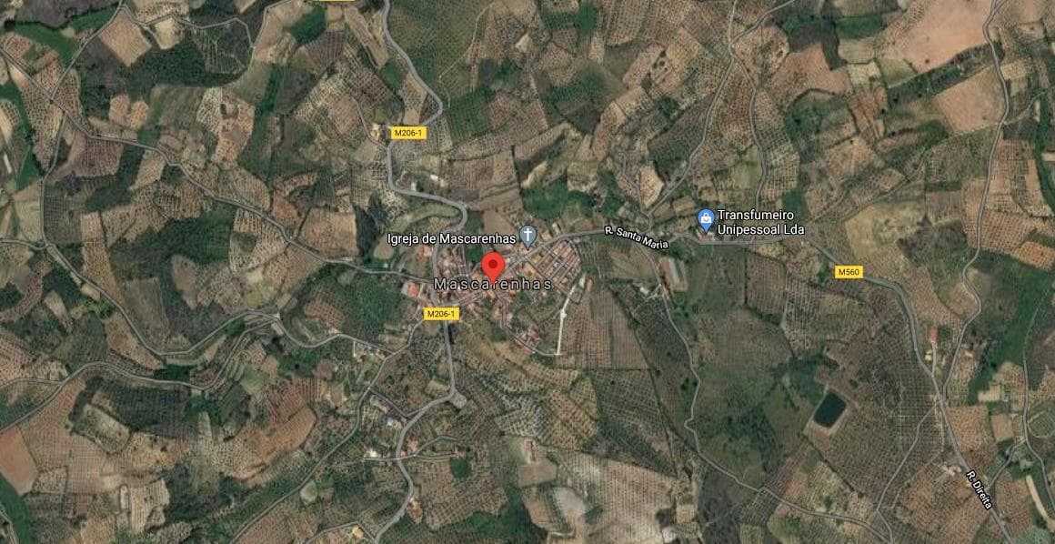 Terreno com +1,5 Hectares · Mirandela — imagem 3