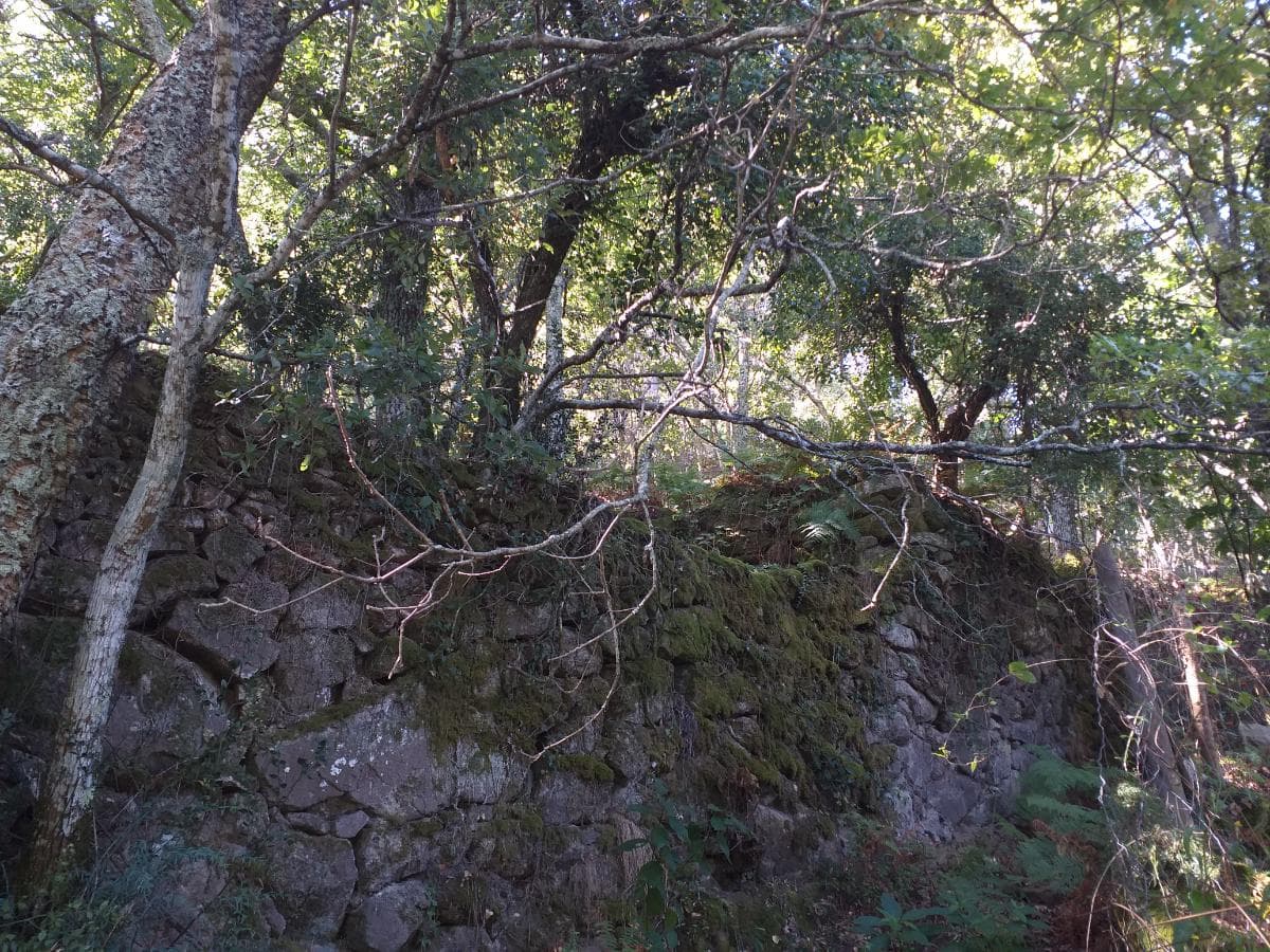 Terrenos · Cinfães — imagem 3