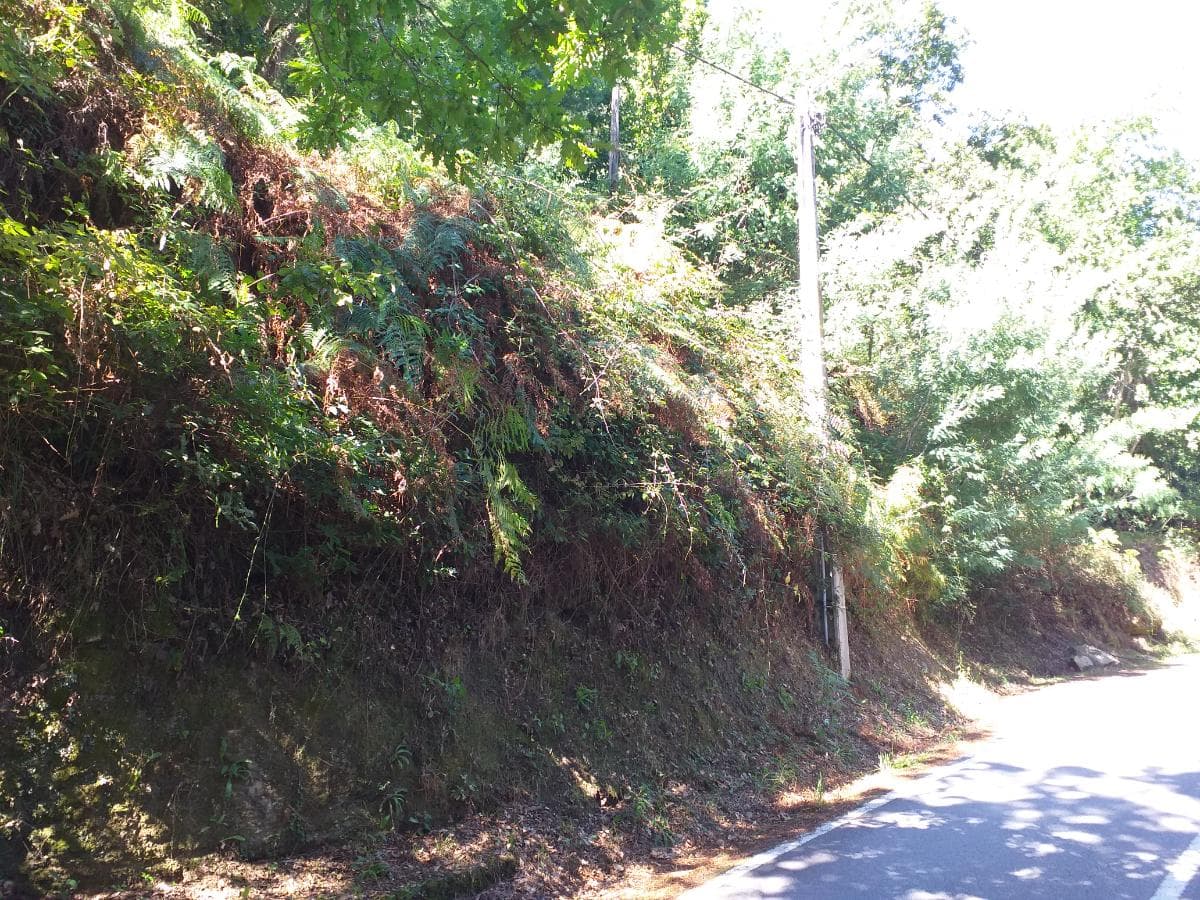 Terrenos · Cinfães — imagem 1