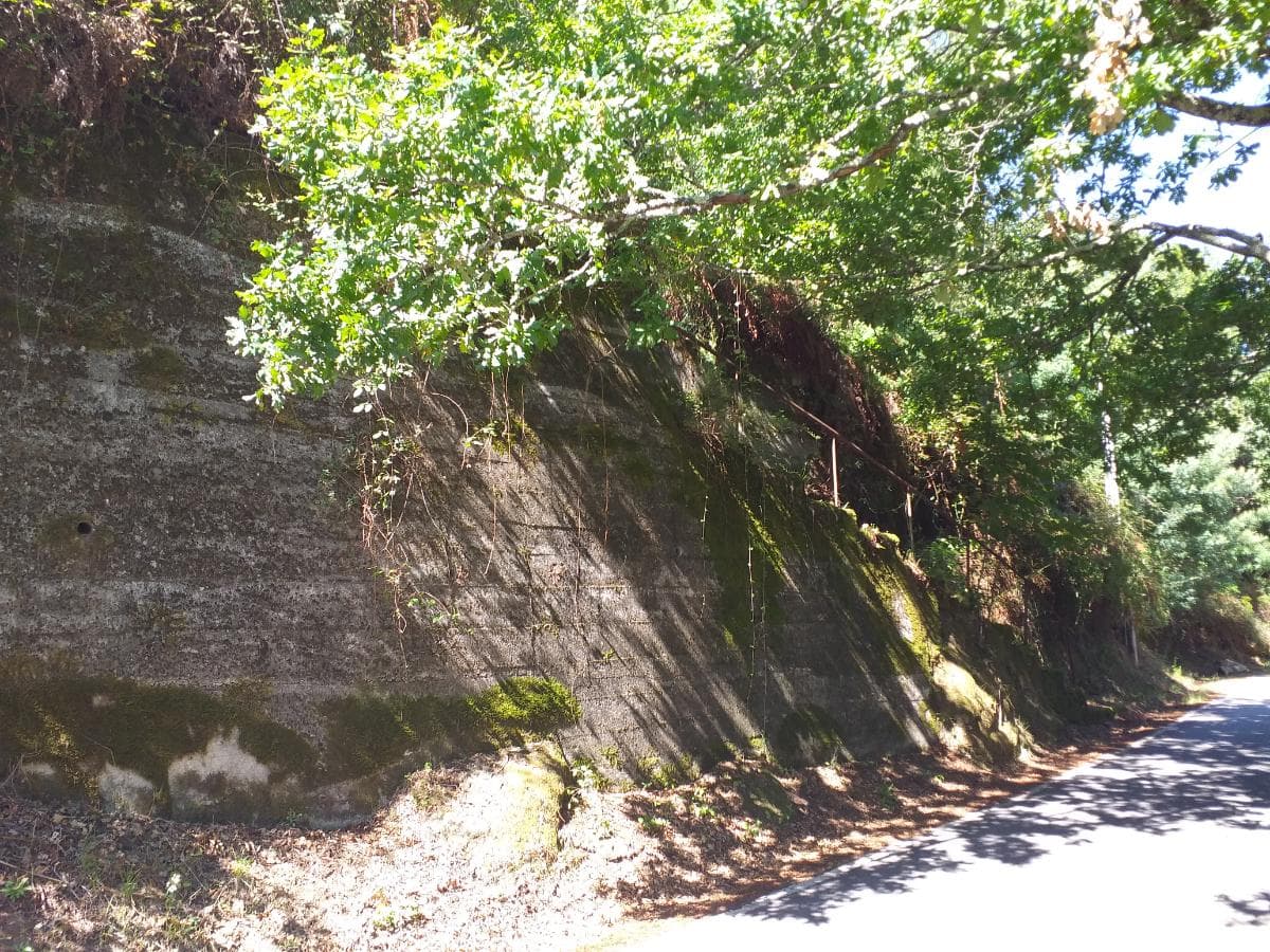 Terrenos · Cinfães — imagem 5