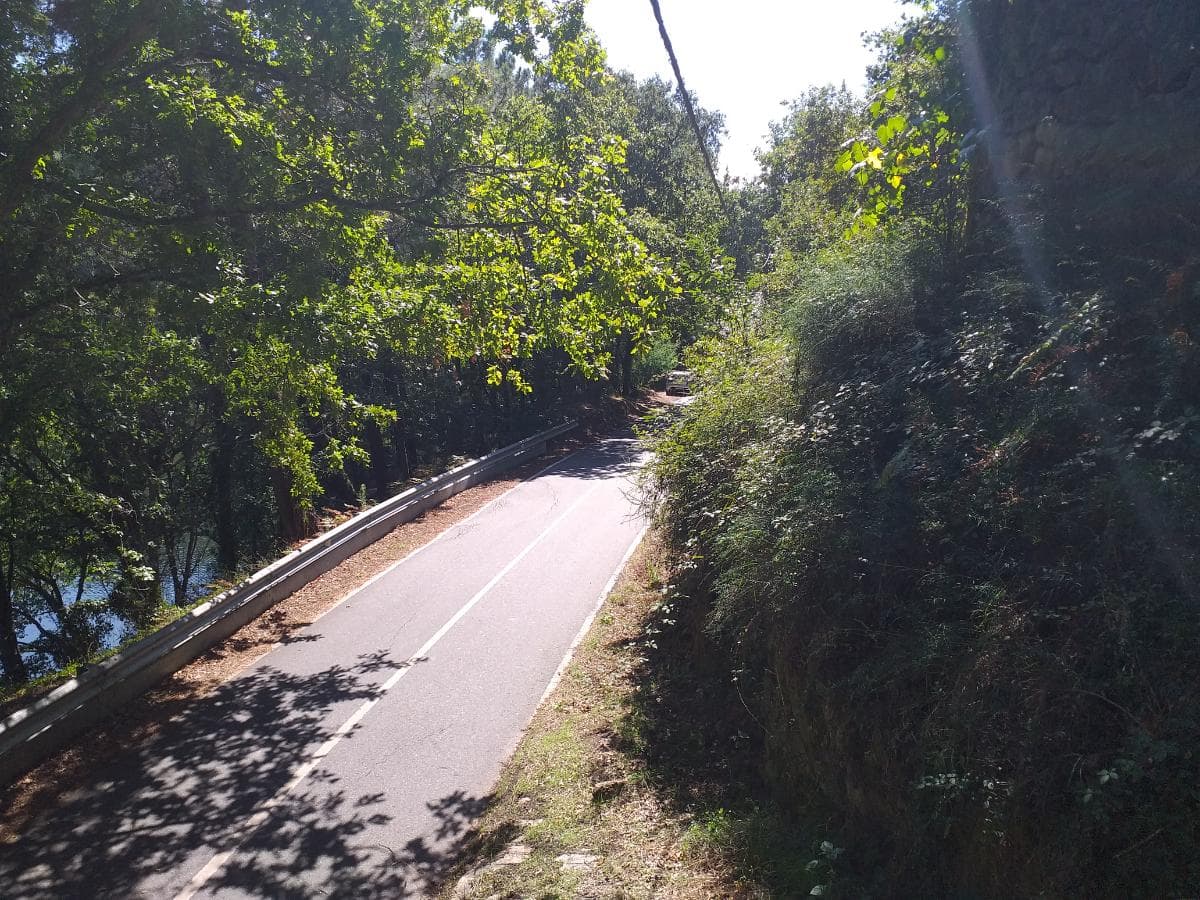 Terrenos · Cinfães — imagem 2